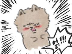 포메토끼로 우경민호 (1) +1216