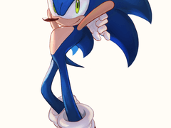 소닉 연성 백업 (2017~2020)