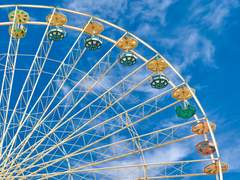 하이타니 란의 일탈 if 외전