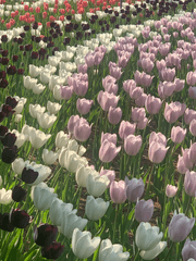 내가 사랑하는 문구들