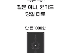 직관적이고 빠른, 질문 하나에 원카드 당일타로