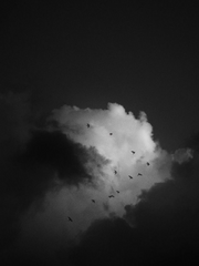 [쥰이바] 참회록