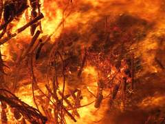 비스/로지 에버렛/26