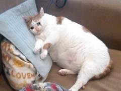 미대 실기 용어의 세계