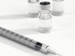 정불대 자유게시판