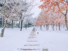 (닌자고)First Snow