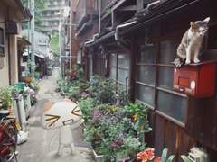 인외러 그림방 공지