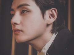 임신한 고양이 보고 싶다 25