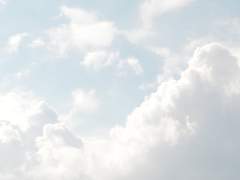 실로우/무성/불명/클로드