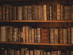 어느 저주인형의 일기