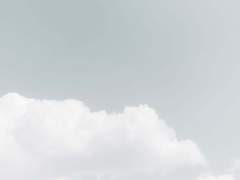 겨울의 백조는 살아남을 수 있나요?