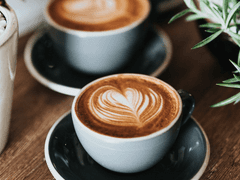 윤 미르 / 29 / 인간