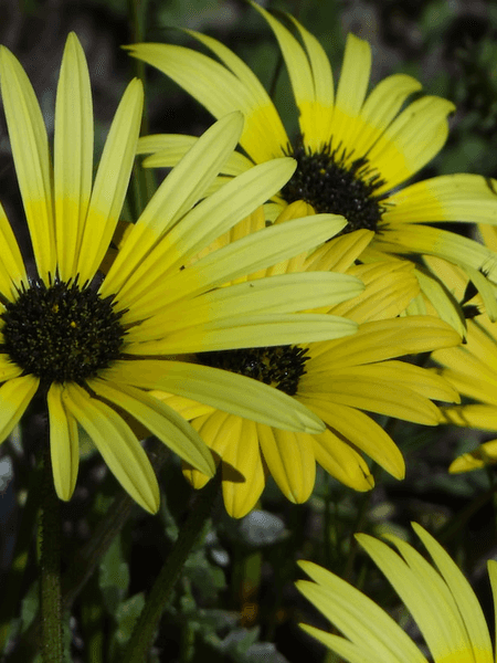 잃어버린 아이들의 왕국(현실편) - 에필로그
