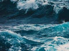 뭐든지 대충대충