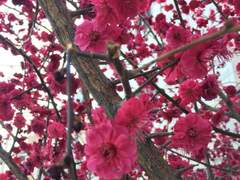 [은혼 드림/상황문답] "같은 색으로 물들고 싶어요." {외전}