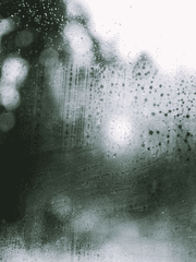 Lost Kin 한글번역