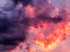 1. 오늘은 ㄱ과 춤을 출 거야