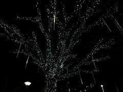 당신은 나를 가장 완벽하게 만들어요.