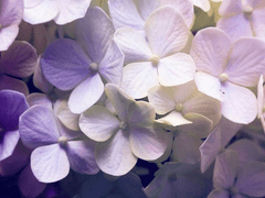 연 일 공개프로필