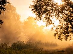 완전무결한 기억력