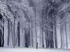 [청우배세] 북부에도 봄이 올까요?