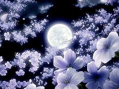 호시조노 아키라｜아사나기 고교｜1학년