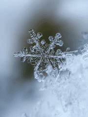 그녀의 이름은......