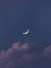 𝓜𝓲𝓼𝓽𝓲𝓬𝓸- 𝓔𝓽𝓮𝓬𝓱𝓮𝓷