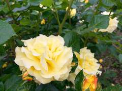 [은혼 드림/상황문답] "같은 색으로 물들고 싶어." {외전}