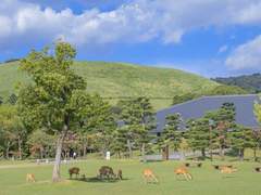싱그로운 햇살이 마을을 빛추리.