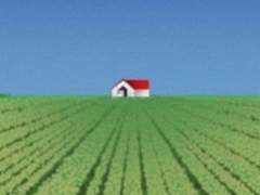 멀어가는 눈을 보거라,