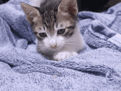 빙의가 잘못되었습니다. 14화