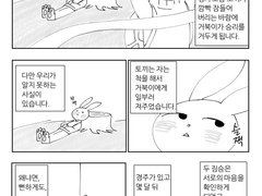 토끼와 거북이