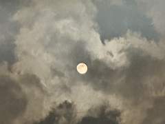 오페라의 유령 - 1