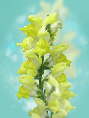 [단편] 어떤 날들의 이야기