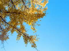 이정도는 누구나 버티는 일 아닐까? 3