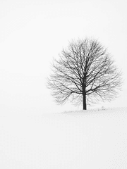 나에게 무정하던 (재업로드 예정)