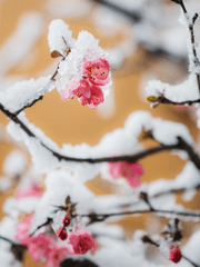 좋은밤되고 좋은꿈꿔