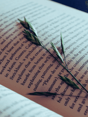 FM0905의 단편소설 모음