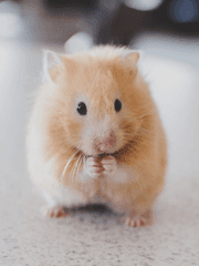 크론병 투병 일기