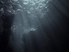 심해에는 뭐가 있을까