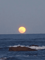 아무도 믿지 않아도