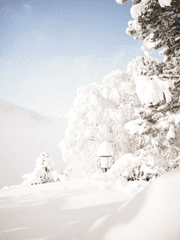 𝑺𝒏𝒐𝒘𝒃𝒐𝒖𝒏𝒅: 전쟁의 끝