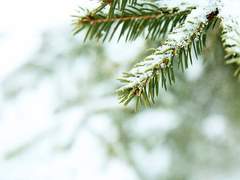 크리스마스에는 쉼표와 함께