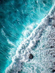 네트워크 나날 시리즈