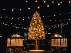 [파다히스] 별빛 축제