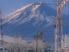 아물길 기다리며