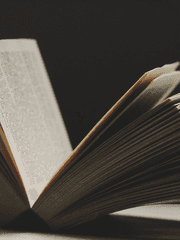 해리 포터: 7년 이후의 날들