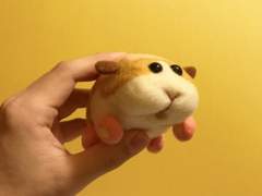 저에 대해 알고싶으시다면...S2