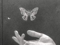 빛을 가리는 어둠